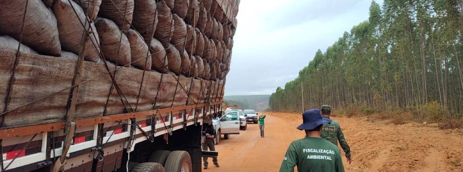 Governo de MG diz ter aumentado a fiscalização para evitar o avanço do desmatamento