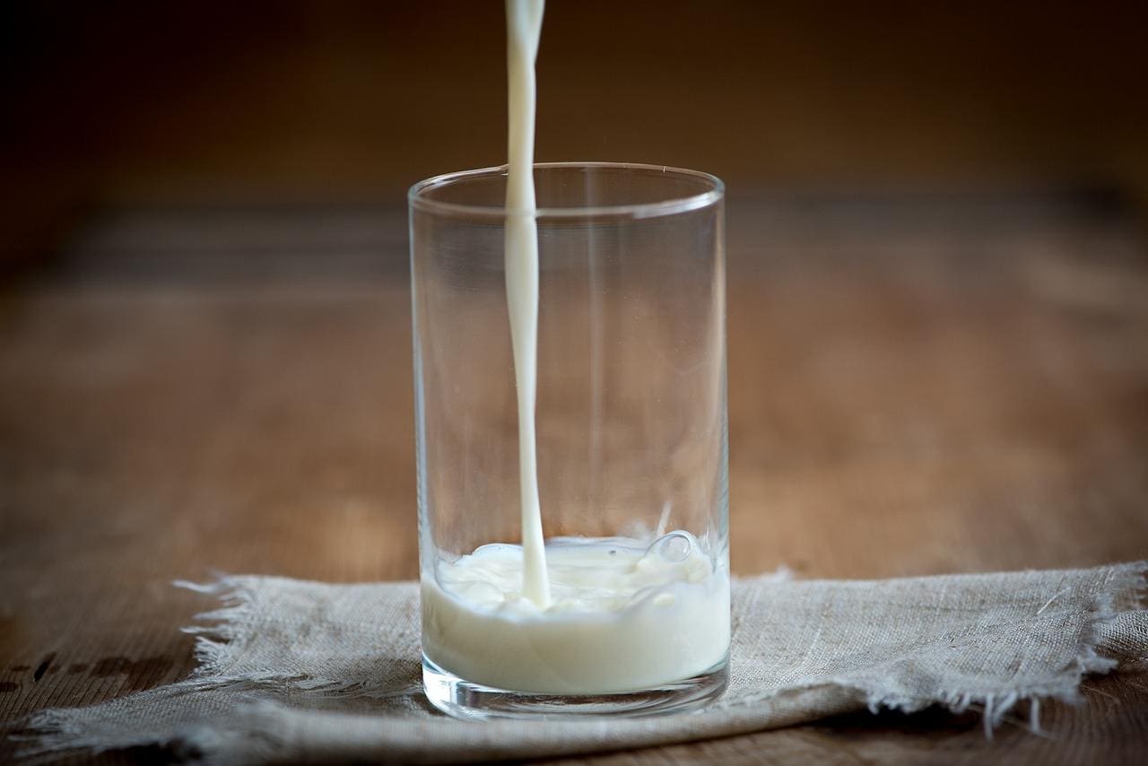 OMS recomenda consumo apenas de leite pasteurizado