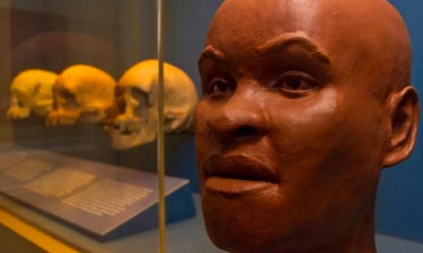 Dentre a coleção protegida do fogo, há possibilidade de estar o crânio de Luzia, o fóssil humano mais antigo encontrado no Brasil, com mais de 12 mil anos