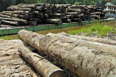 Medidas de combate ao desmatamento ilegal foram previstas pelo Brasil