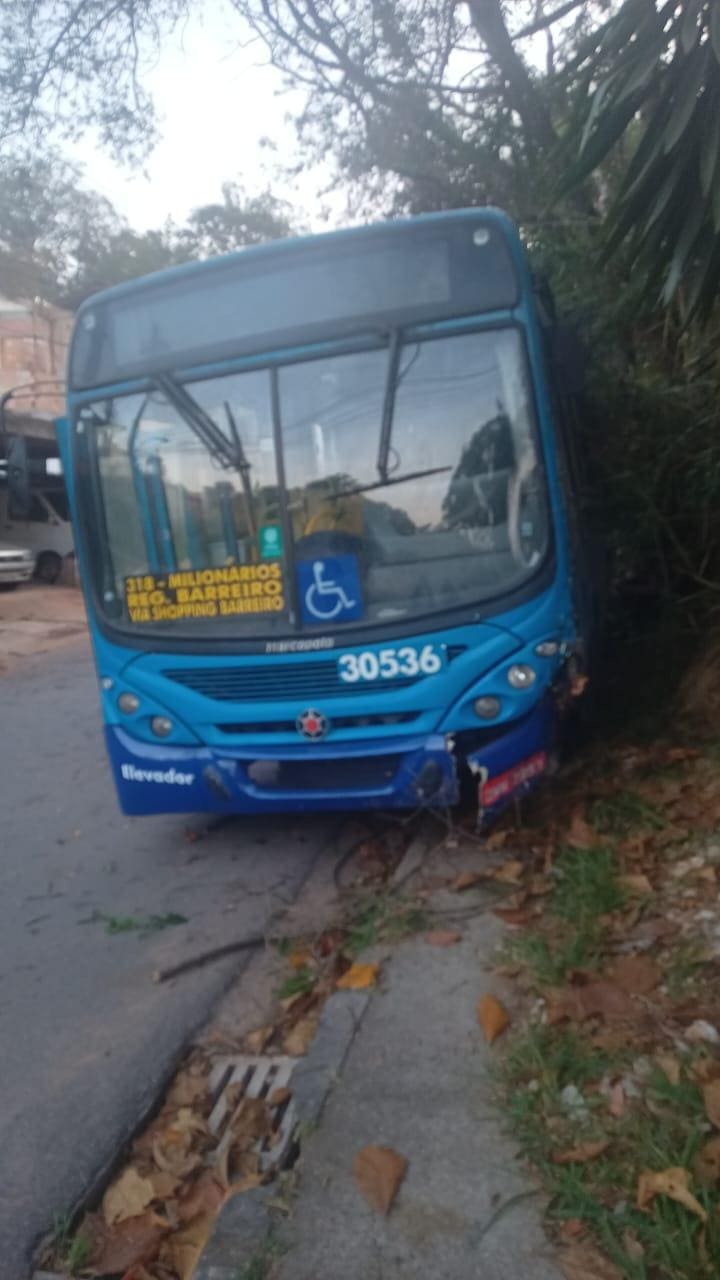 O ônibus trafegava pela rua Gilberto Freire, quando perdeu os freios.