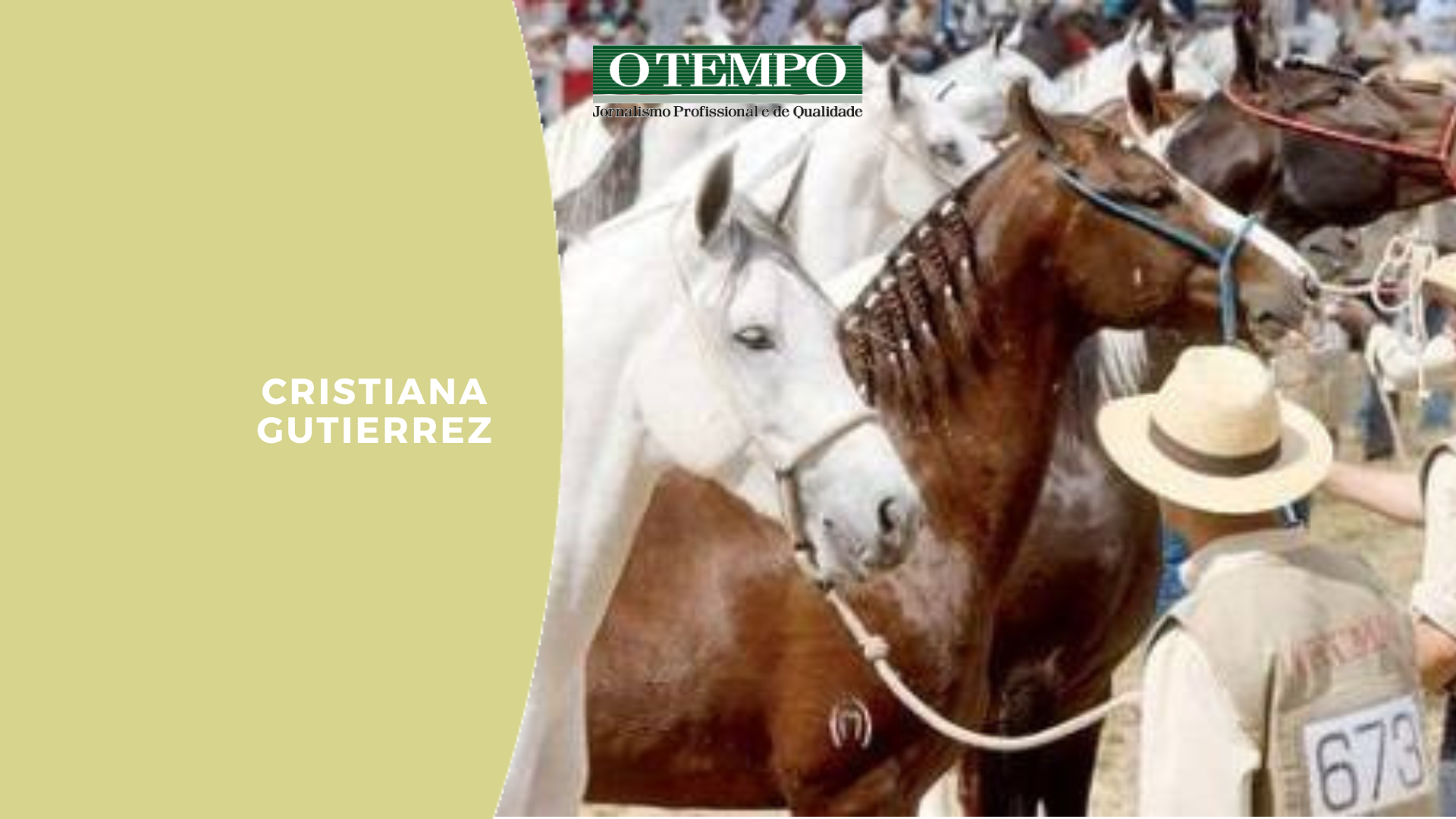 Cavalos em exposição em Minas Gerais