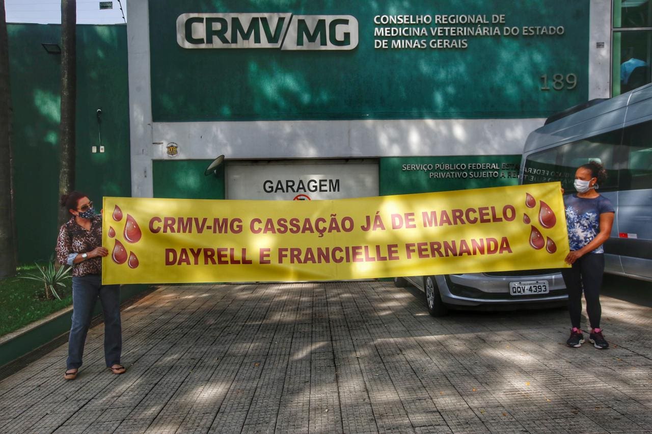 Donos de clínica veterinária são condenados por maus tratos e morte de cão em BH