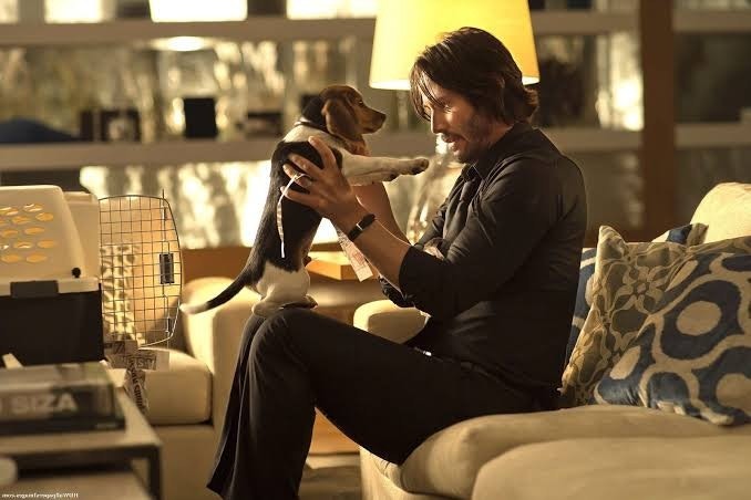 Essa é a cena mais importante de John Wick