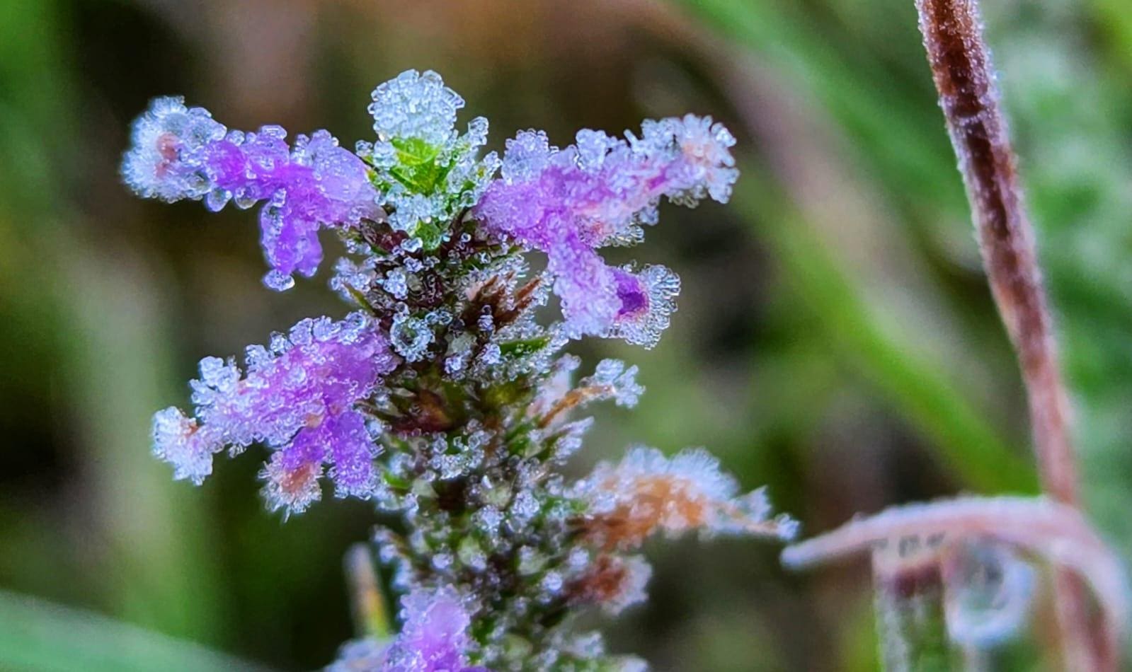 Alerta de frio indica temperaturas até 5ºC mais baixas