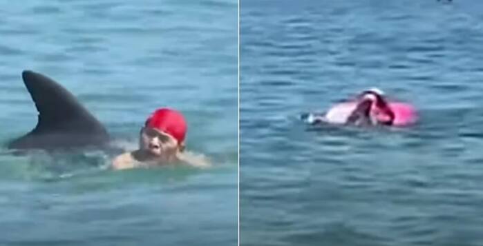 Um homem e uma mulher foram atacados pelo mesmo golfinho no Japão