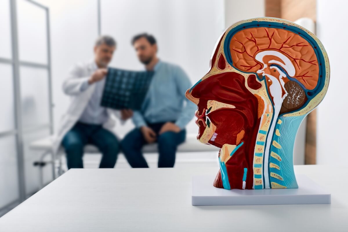 Os tumores de cabeça e pescoço podem atingir diferentes regiões e, muitas vezes, começam com sintomas discretos