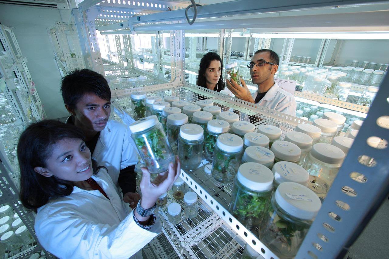 Curso de Mestrado Profissional em Biotecnologia visa promover a formação de profissionais qualificados para atuação em setores produtivos, empresas de base biotecnológica e instituições de ciência e tecnologia