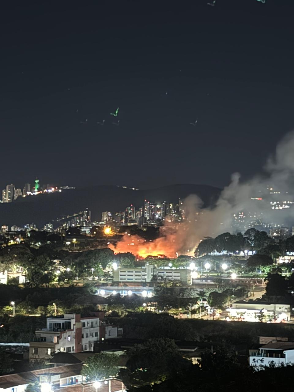 O incêndio não atingiu estruturas e veículos