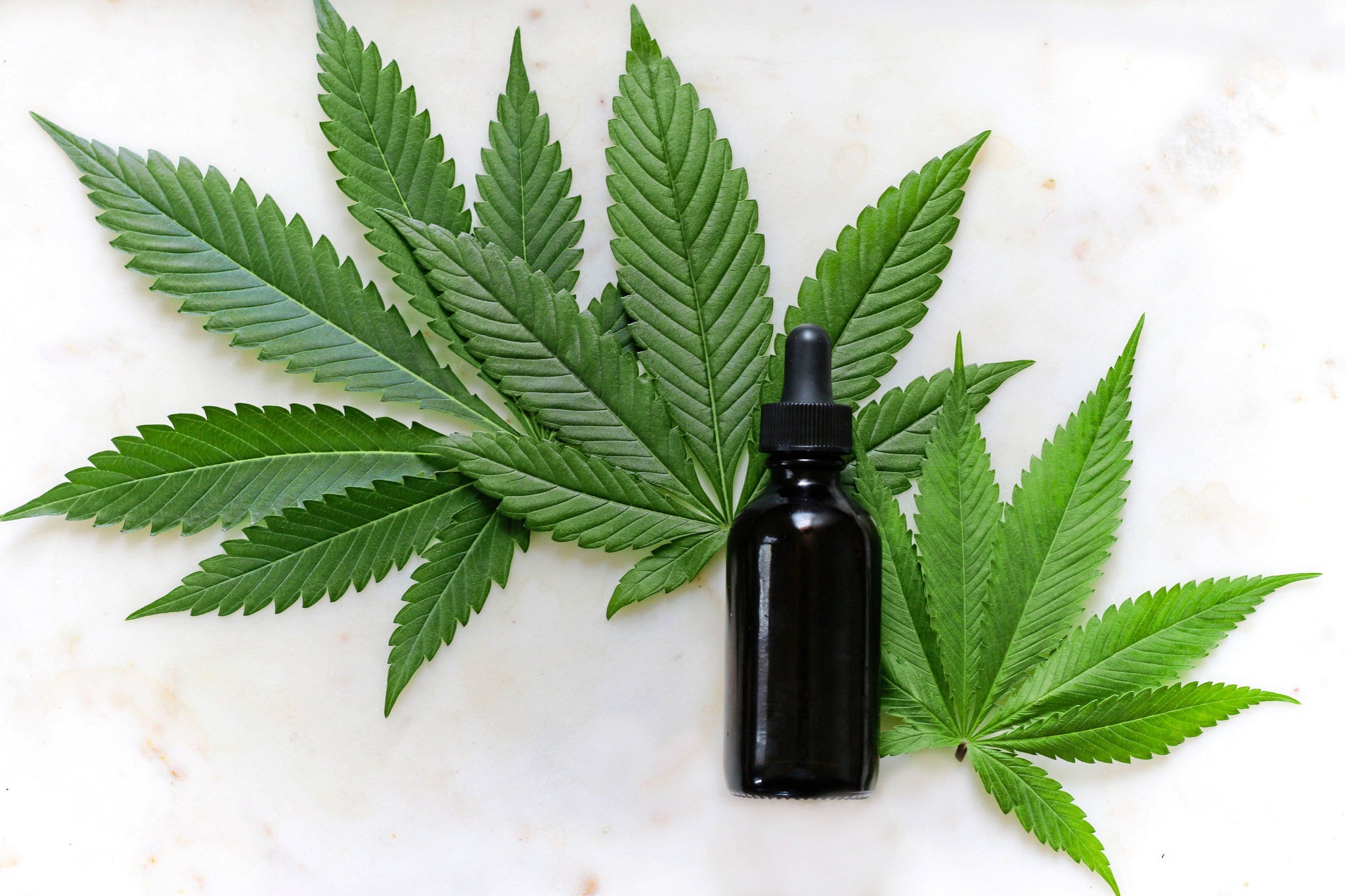 Maconha medicinal