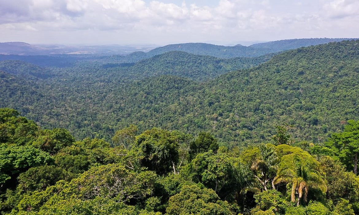Avião monomotor caiu na parte colombiana da floresta amazônica