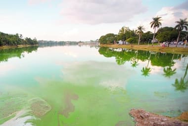 Corpo foi encontrado na Lagoa da Pampulha