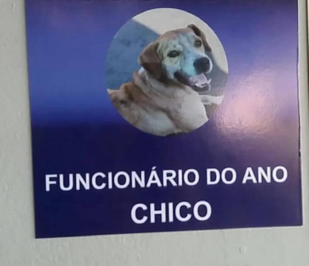 Chico Funcionário do mês