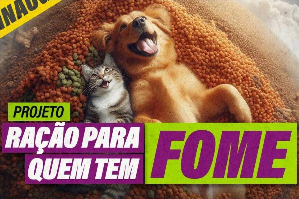 Ação vai distribuir, por um ano, alimentação para animais resgatados e cuidados por protetores e associações da capital mineira e cidades da região metropolitana