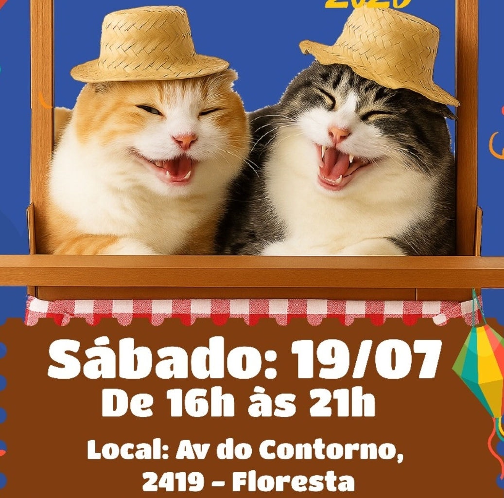 Atualmente, a Albita abriga mais de 150 gatinhos
