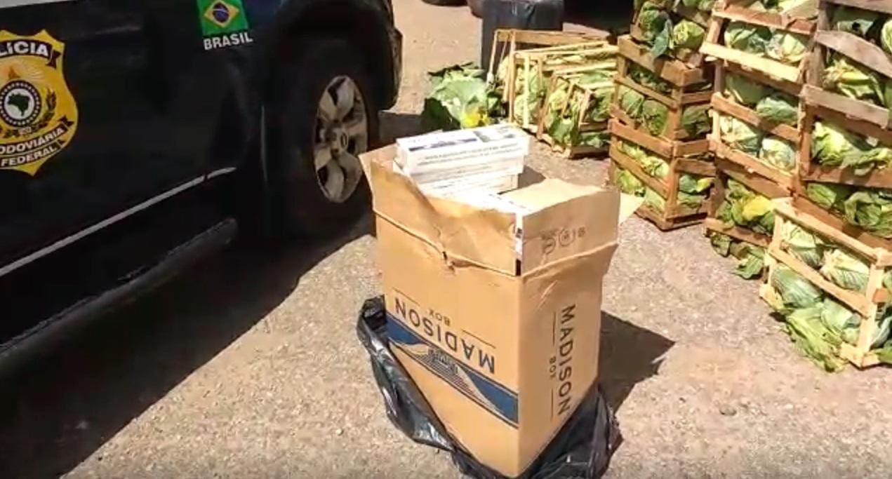 Cigarros estavam escondidos atrás de carga de repolho e foram apreendidos pela PRF