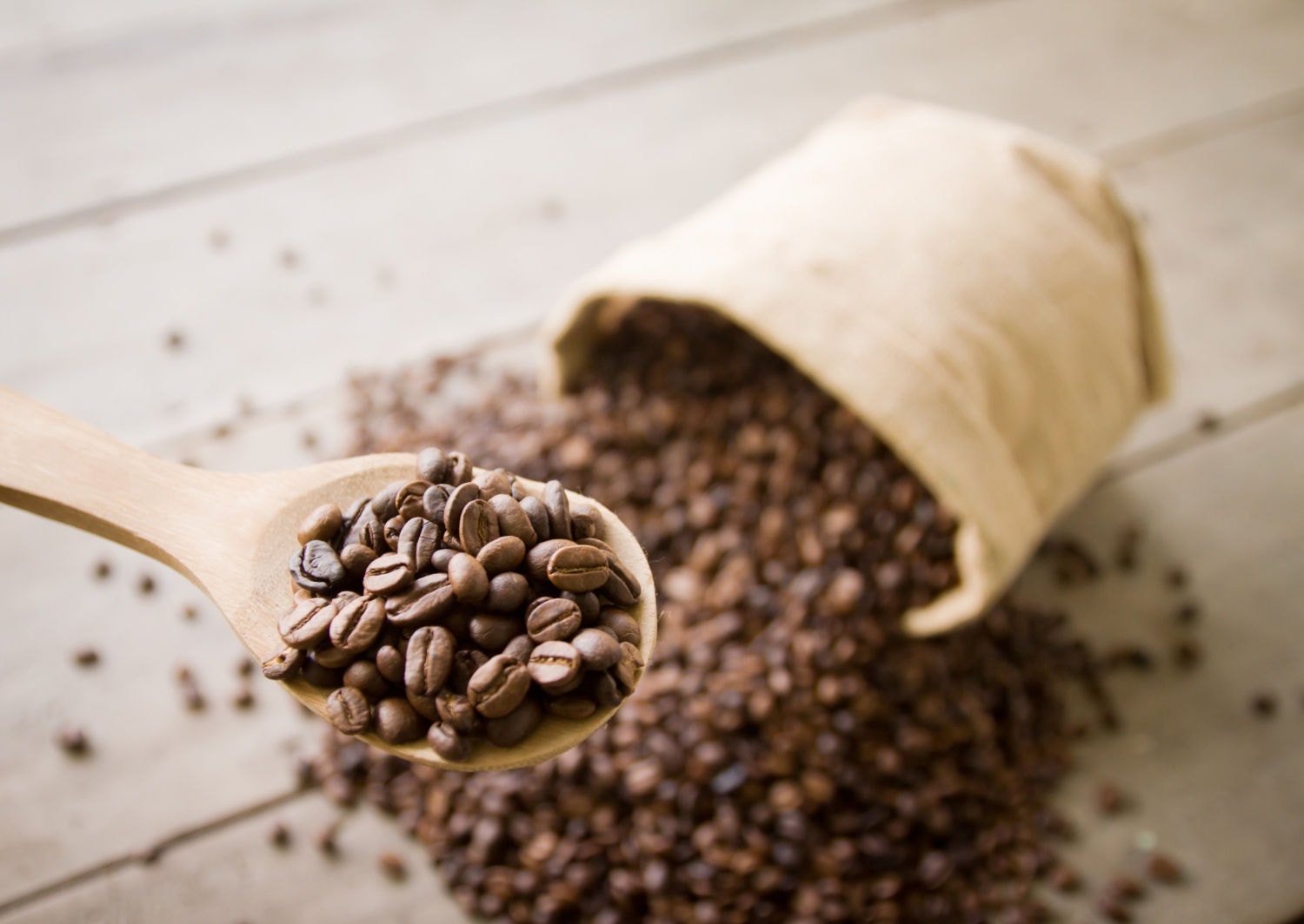 Grãos de café