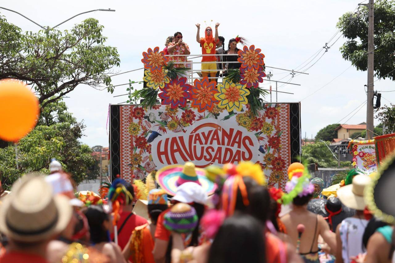 Havayanas Usadas