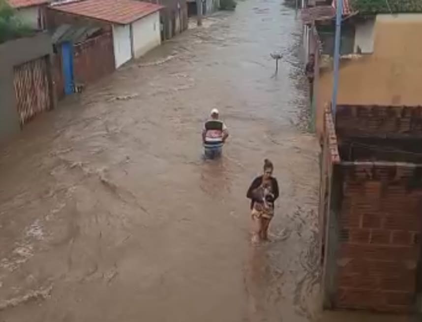 Idosa é resgatada de inundação em Porteirinha, em Minas, com seus nove cachorros