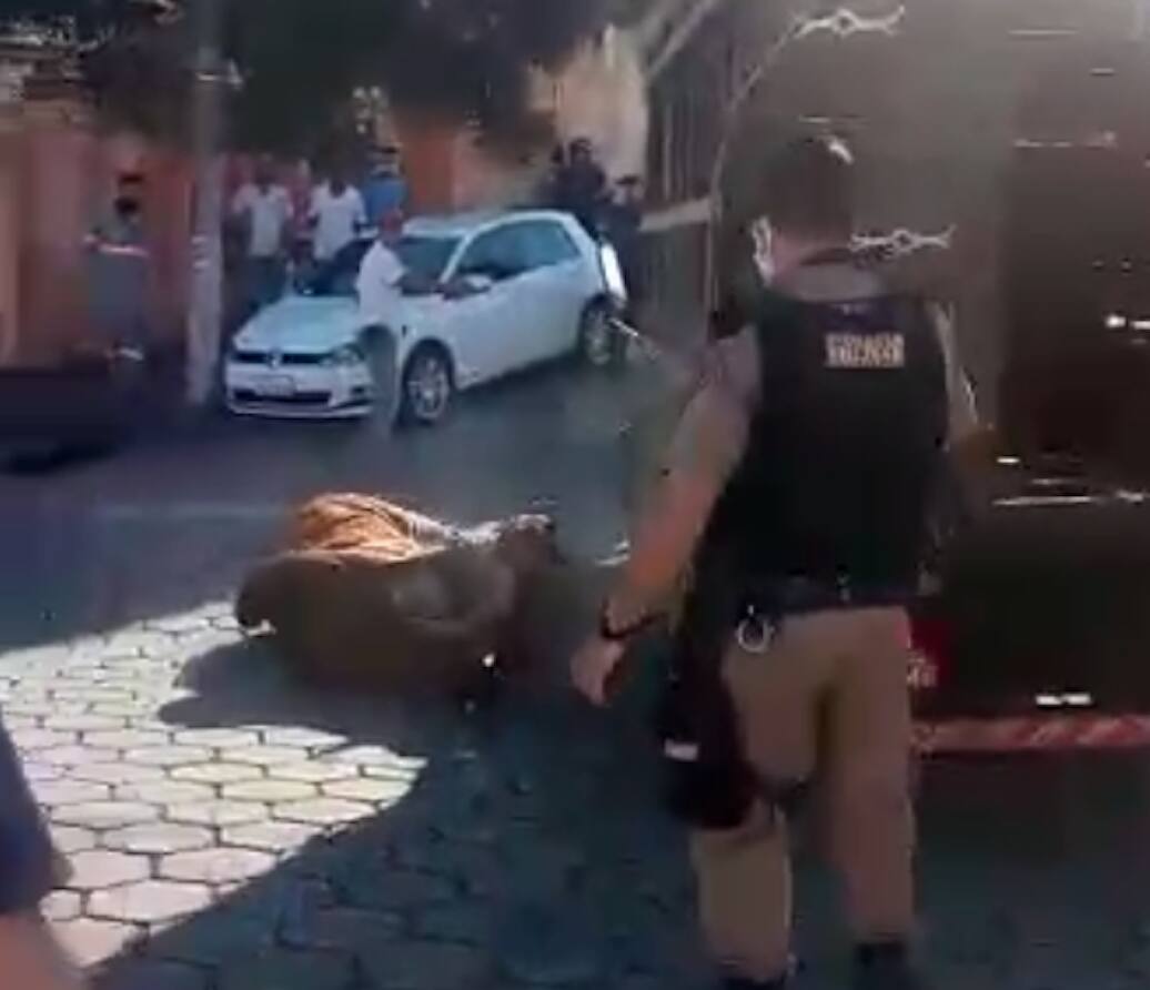 Captura de Tela 2020-07-23 às 174144png