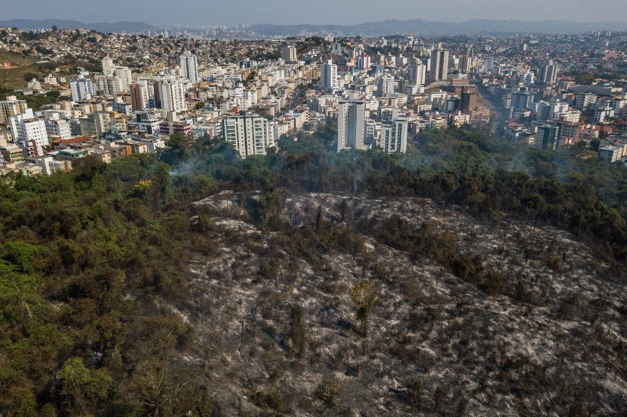 Parte do parque foi destruído pelo fogo