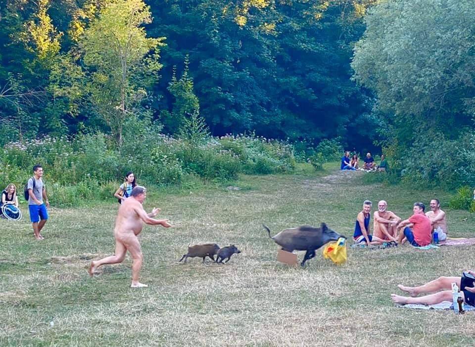 Um fim de semana normal no parque
