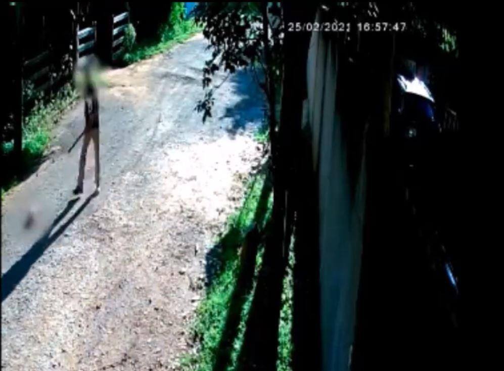 Homem é preso após espancar cão até a morte em Cava Grande, interior de Minas