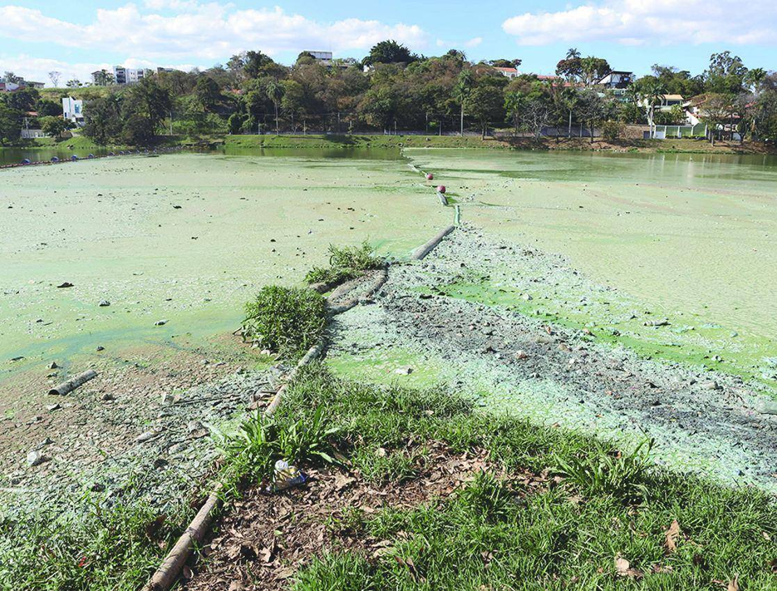 Sujeira Poluição deixou água da lagoa com aparência esverdeada; tratamento deve recomeçar neste mês