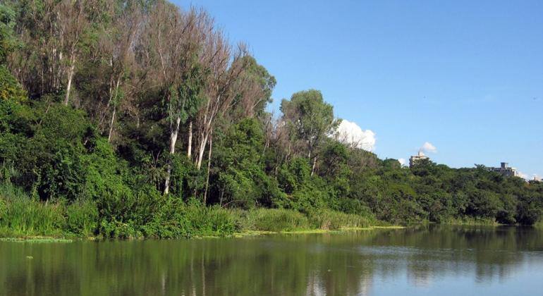 Jardins vão ajudar a conter chuva na região.