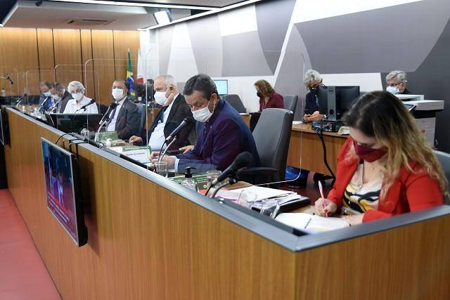 Assembleia Fiscaliza com a secretária de Estado de Agricultura, Pecuária e Abastecimento