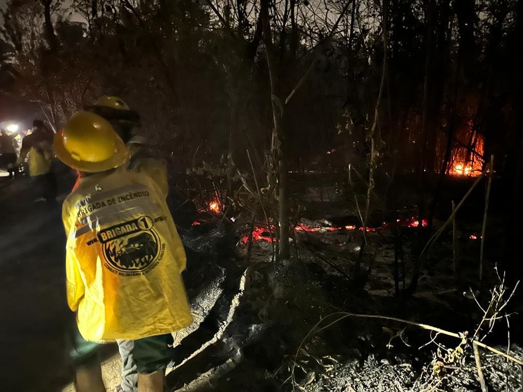 Imagem mostra brigadista durante atuação em incêndio