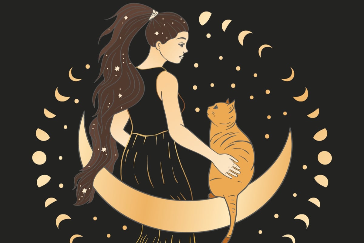 Astrologia também ajuda os tutores a entenderem a personalidade dos gatos
