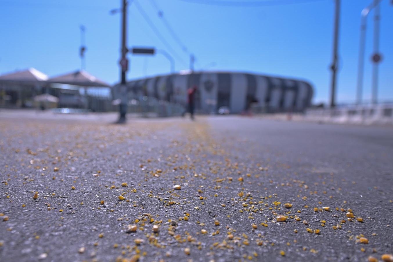 Milho nos arredores da Arena MRV na manhã de Atlético e Cruzeiro