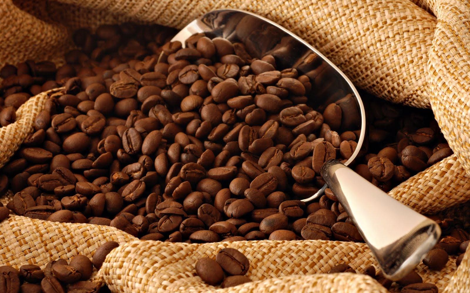 Alemanha, Estados Unidos, Itália e Japão estão  entre os maiores consumidores do café brasileiro 