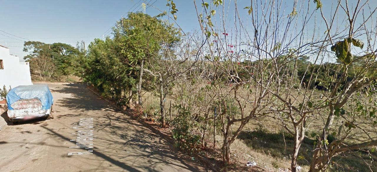 Patos de Minas