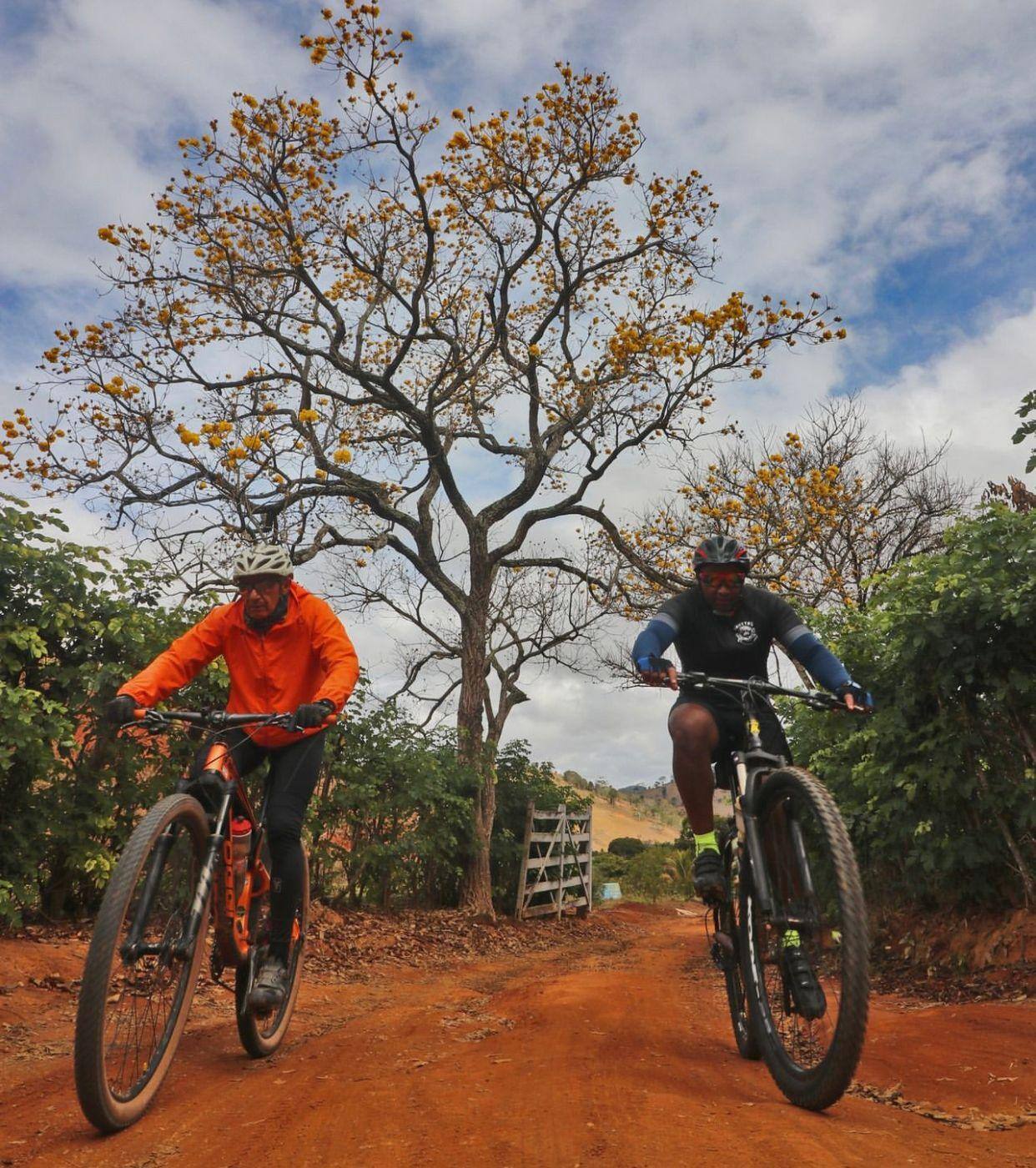 Caminhos Franciscanos