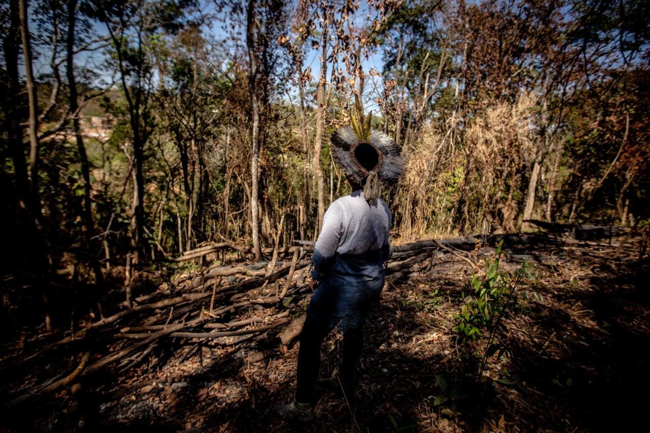 Queimadas ilegais de vegetações nativas e raras da Mata Atlântica, como a Copaíba e o Jacarandá, são realizadas na área da aldeia