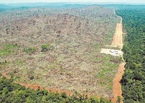 Desmatamento na Amazônia