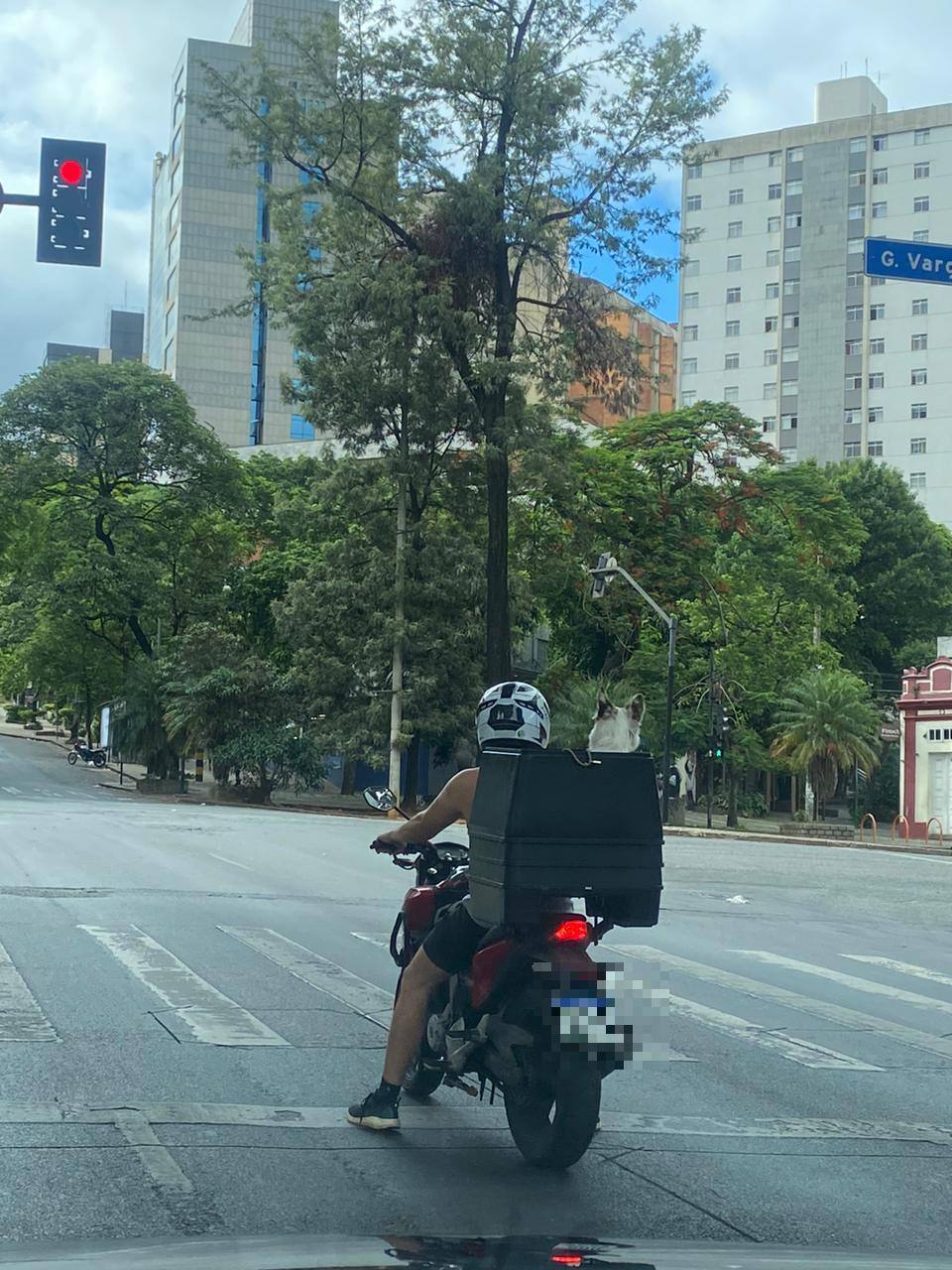 Motociclista passeia com cão no baú da moto nesse domingo pela avenida Afonso Pena