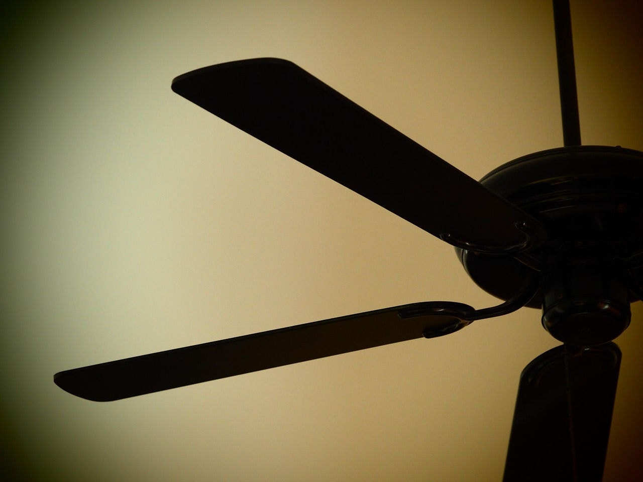 Ventilador foi adquirido em dezembro de 2019