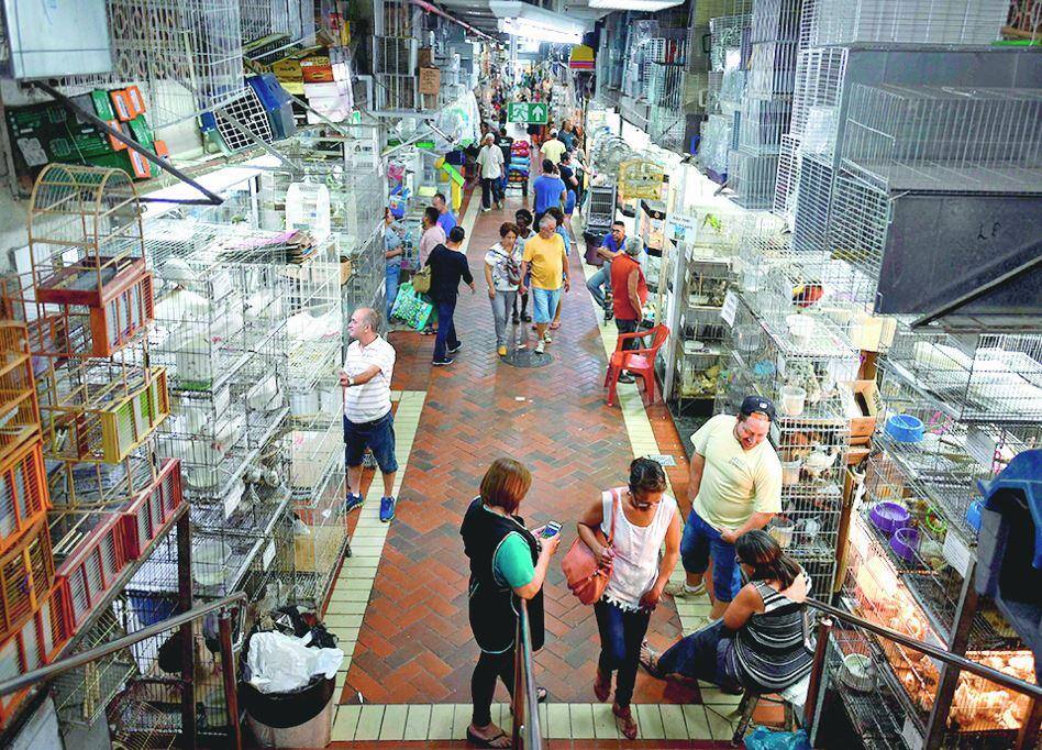 Imagem mostra gaiolas no Mercado Central de BH