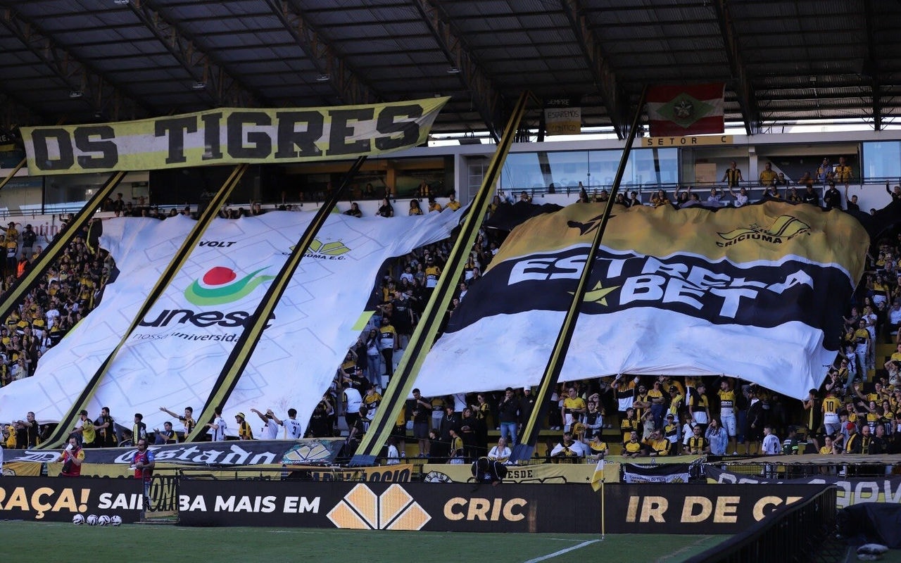 Torcida do Criciúma (Foto: Celso da Luz/ Assessoria de imprensa Criciúma E.C.)