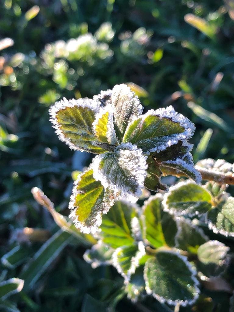 Frio deu as caras no Sul de Minas