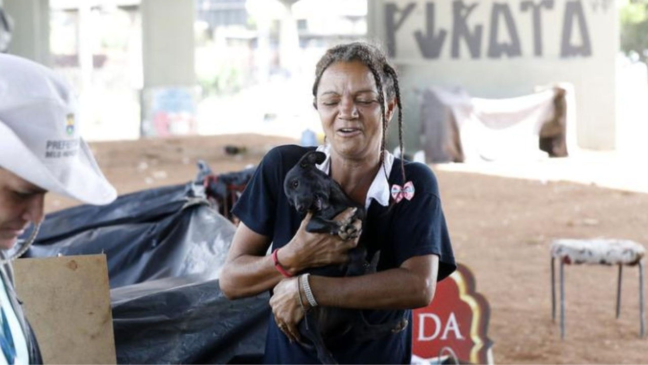 Tutores podem fazer pré-cadastro online para a castração de cães e gatos