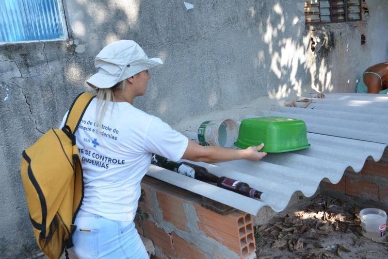 Somente nos primeiros 26 dias do ano, foram notificadas 1.675 suspeitas de dengue e outras 61 de chikungunya