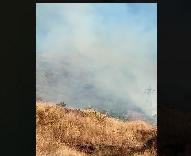 Bombeiros tentam evitar que o fogo se alastre para a vegetação do Rola Moça
