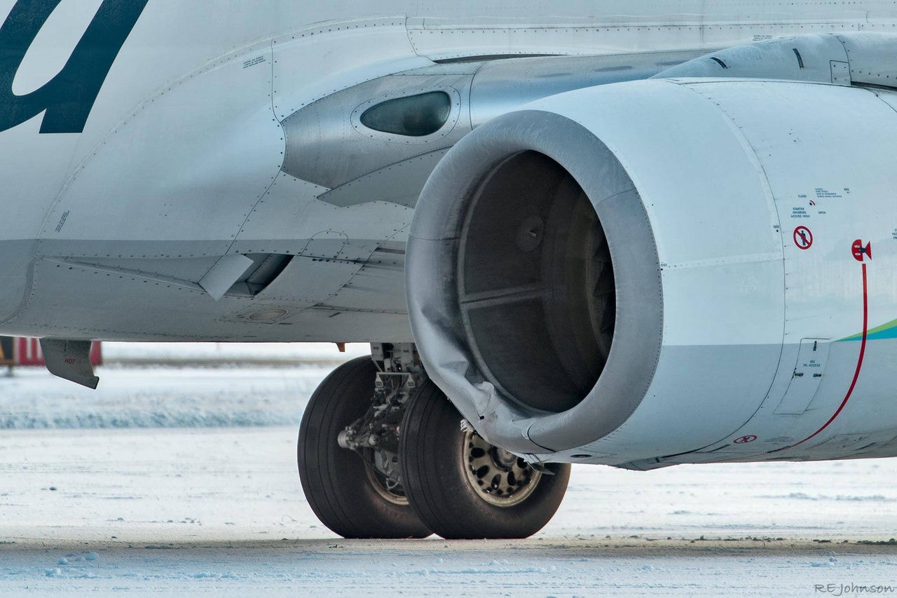 Avião que atingiu os bichos teve que passar por manutenção