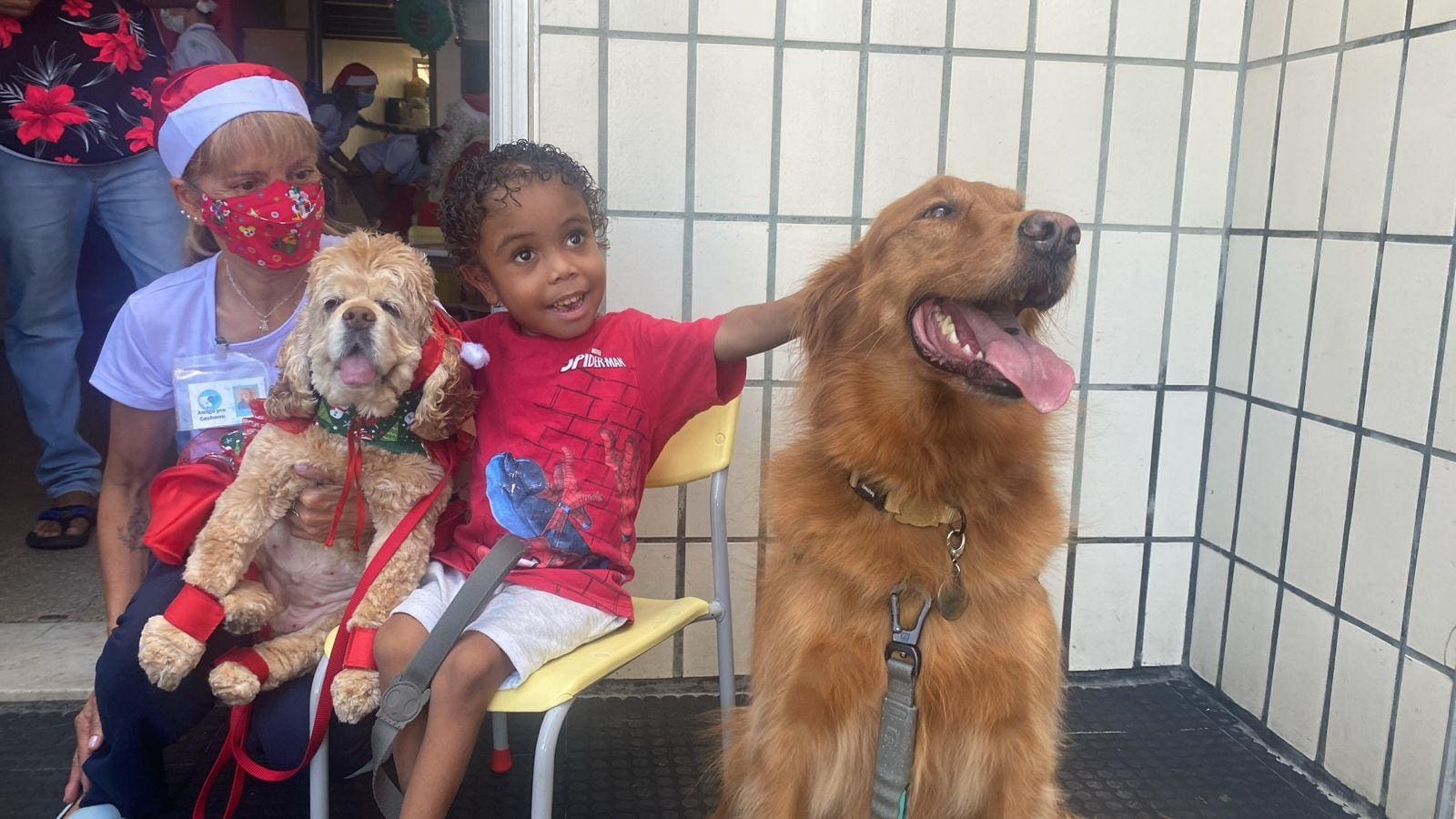A cada 15 dias, Hospital das Clínicas da Universidade Federal de Minas Gerais (UFMG) recebe visitas ilustres: cães voluntários que levam alegria às crianças internadas no local