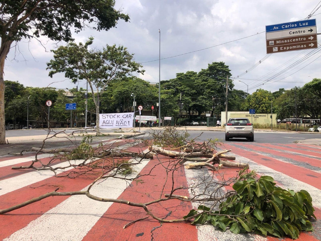 Protesto contra a realização da Stock Car e o corte de árvores na quarta-feira (28)