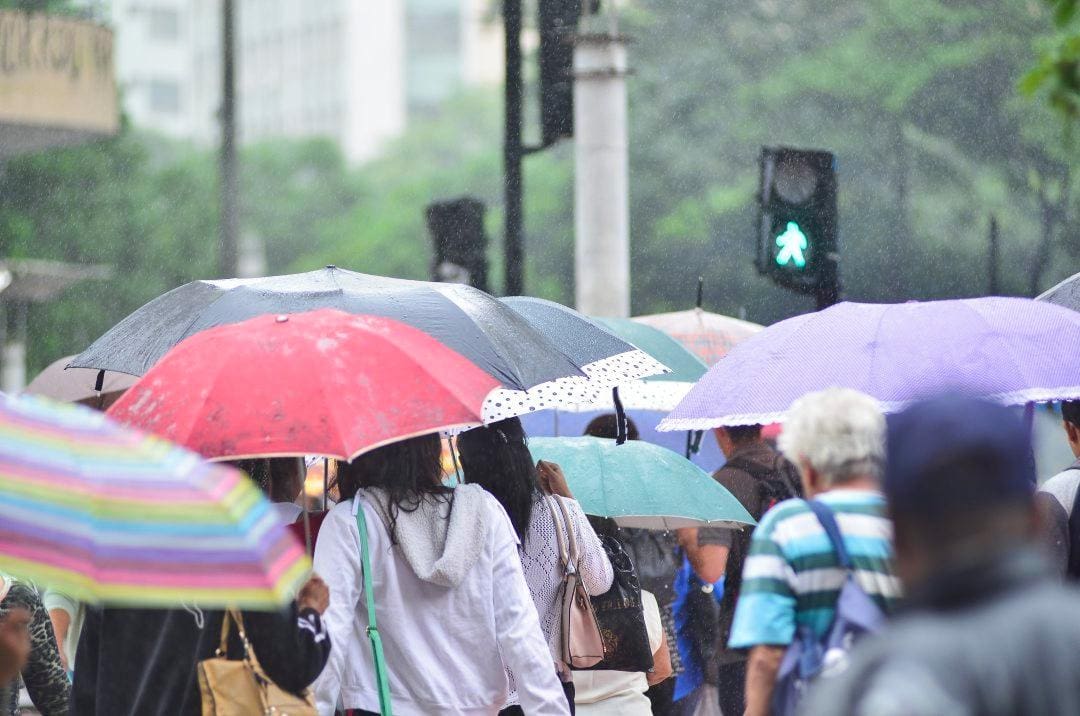 Cidades - Belo Horizonte - Minas Gerais
Chuva em BH, praca 7

Foto: Uarlen Valerio / O Tempo 20160118